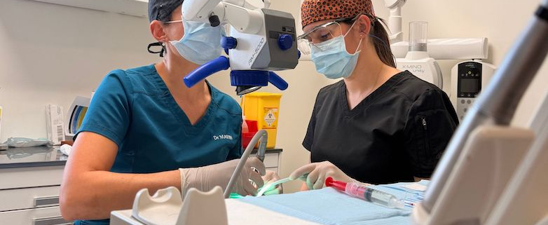 Masterclass endodontie - Endodontie moderne