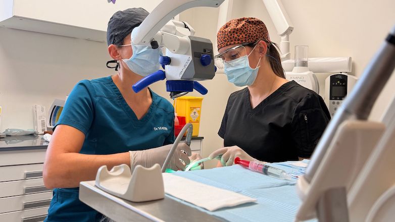 Masterclass endodontie - Endodontie moderne