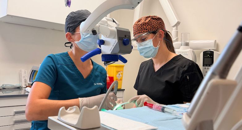 Formation et coaching en endodontie dentaire à Marseille et Aix-en-Provence - Perfectionnez votre pratique clinique