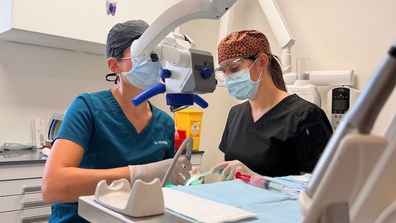 Formation et coaching en endodontie dentaire à Marseille et Aix-en-Provence - Perfectionnez votre pratique clinique